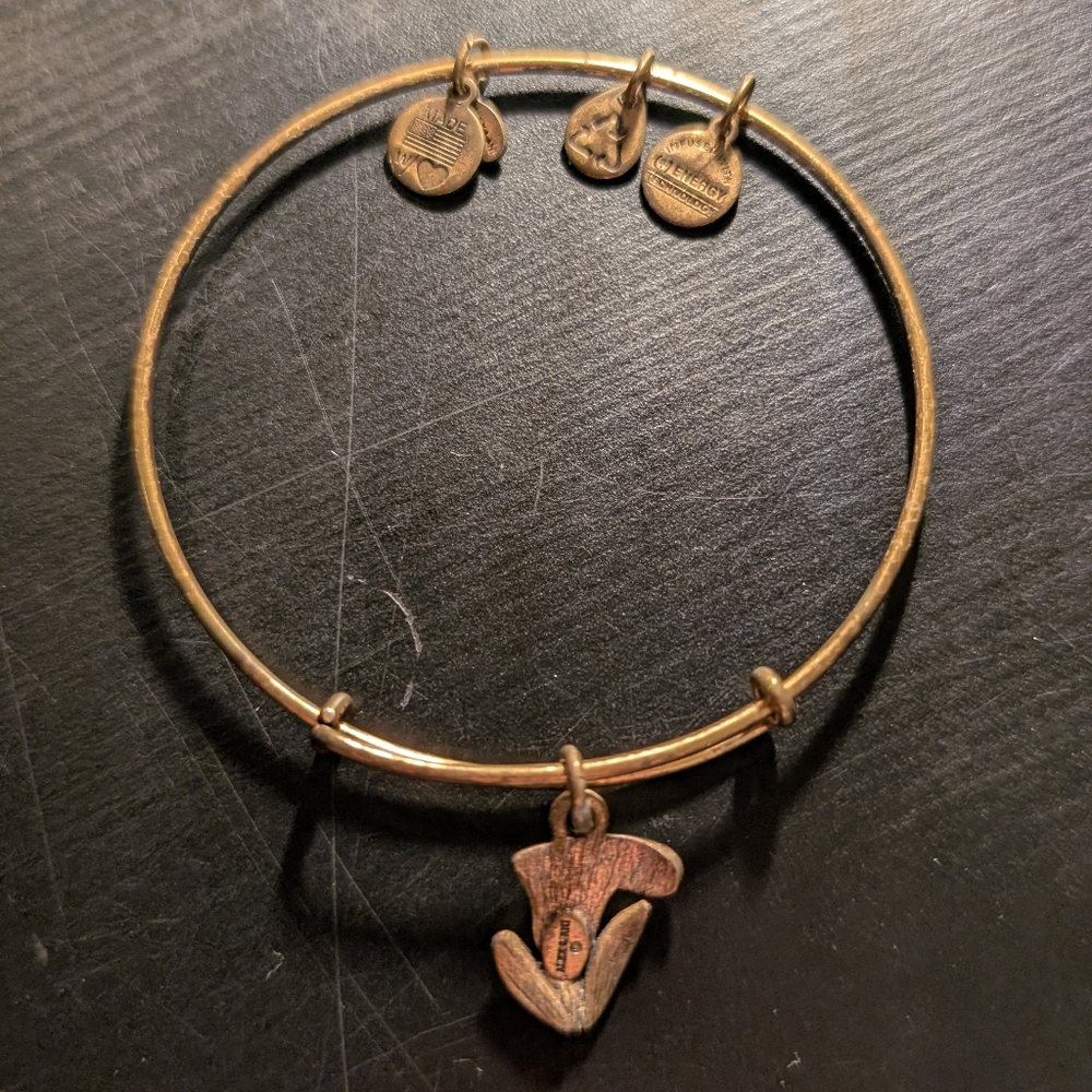 Alex and Ani Sacred Garden Calla Lily Bangle Gold Finish Retired - Picture 5 of 7